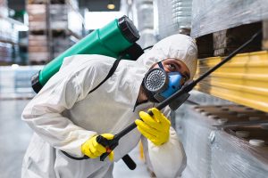 Safe and Effective Pest Control Solutions for Commerce